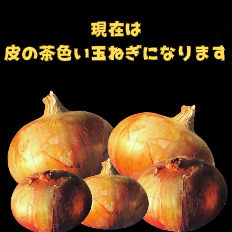 Amazon.co.jp: 玉ねぎ 兵庫県産 淡路島 たまねぎ 秀品 10キロ ソルティ